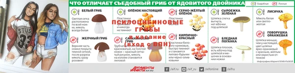 первитин Богородицк