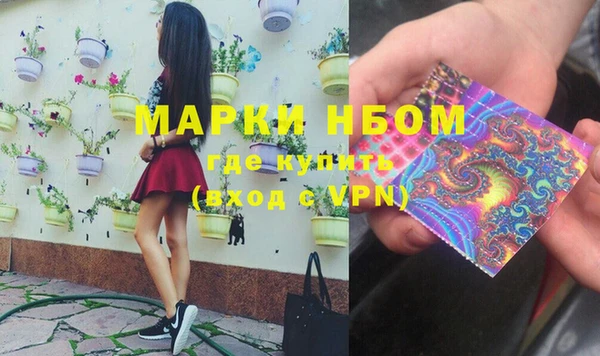 крисы Покачи