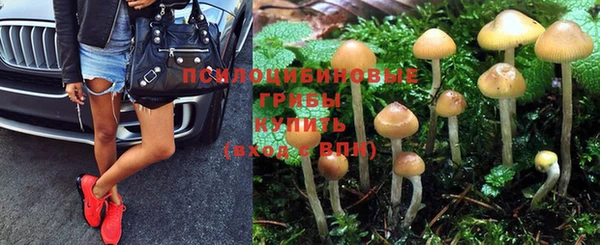 спайс Пролетарск