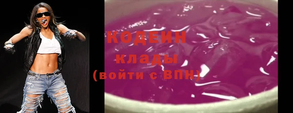 крисы Покачи