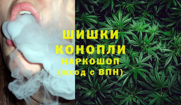 крисы Покачи