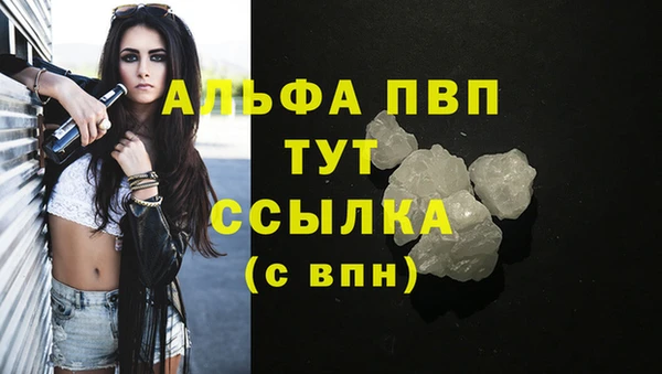 крисы Покачи