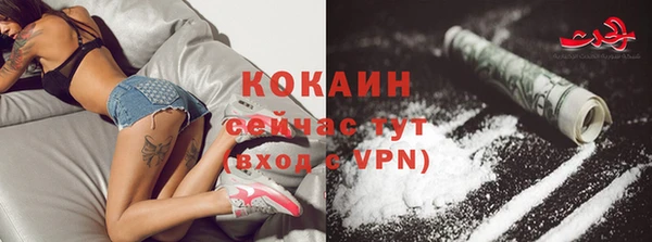 крисы Покачи