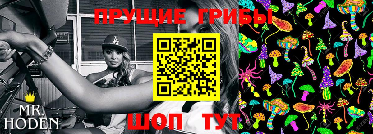 Ейск  Псилоцибиновые грибы прущие грибы  Вход с VPN 
