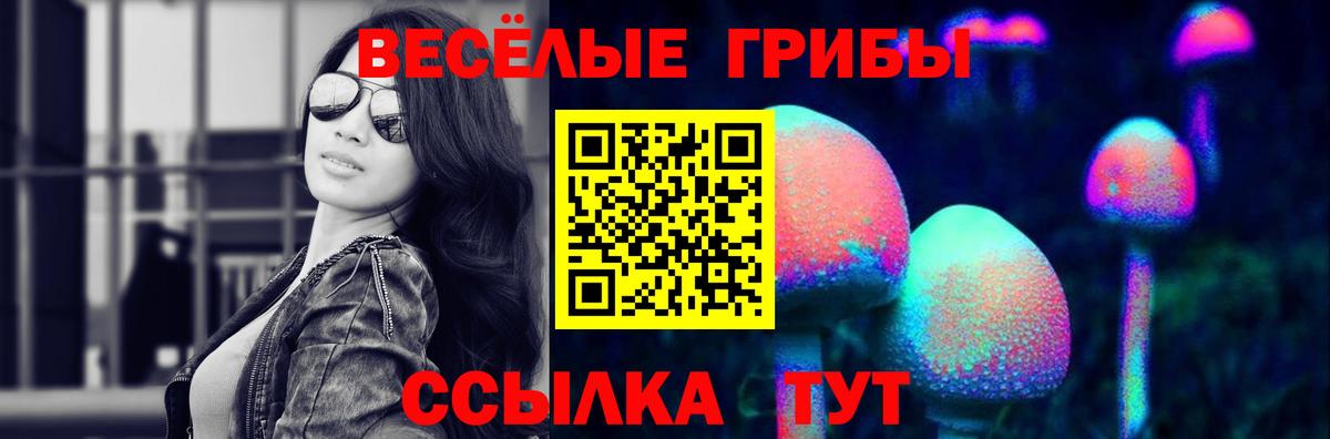 Галлюциногенные грибы мухоморы Ейск