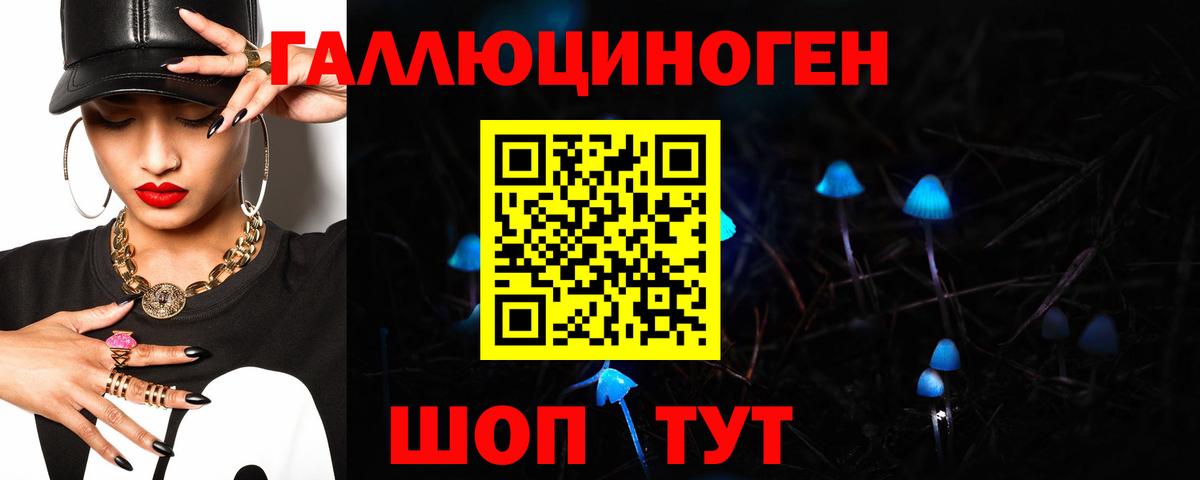 где продают наркотики  Ейск  Галлюциногенные грибы GOLDEN TEACHER 