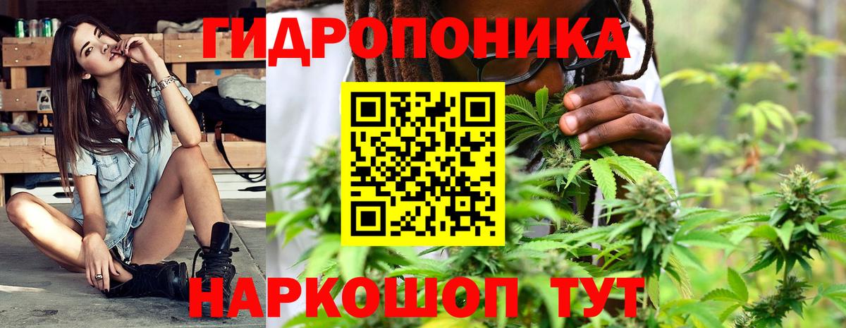 Каннабис семена Ейск